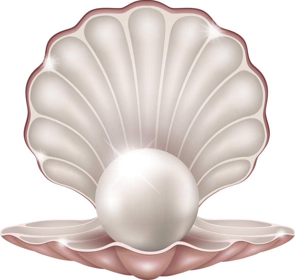 Pink Pearl Seashell